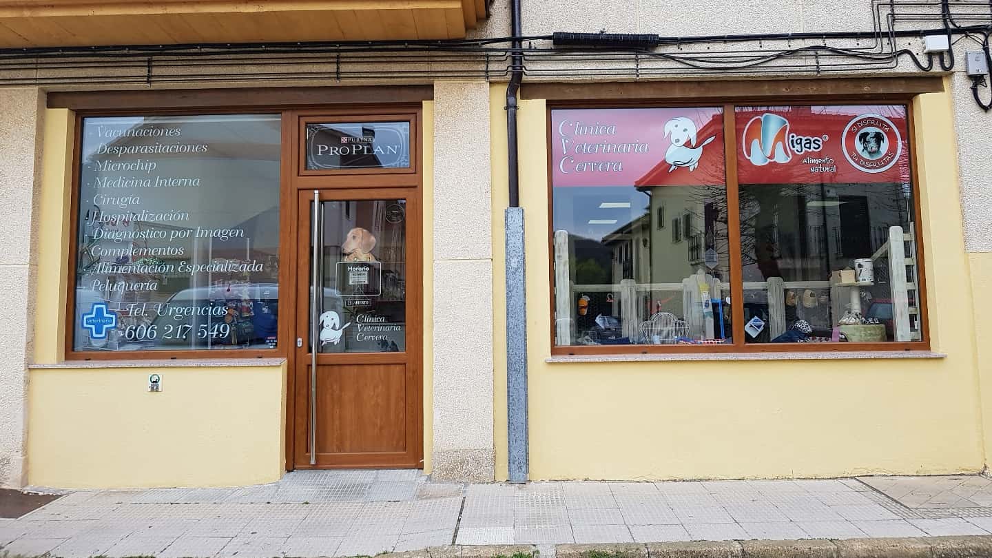 clinica veterinaria cervera veterinario clinica en cervera de pisuerga en palencia principalImage ADOPTA Sitios Pet Friendly