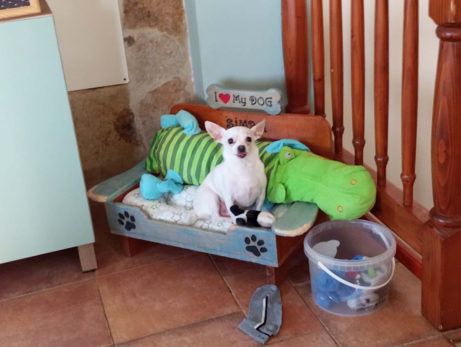 Veterinaria Aguilera Mogán