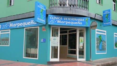 clinica veterinaria marpequena veterinario clinica en telde en las palmas principalImage ADOPTA Sitios Pet Friendly