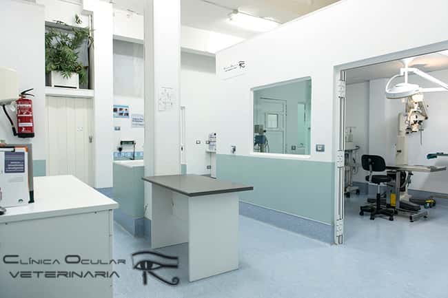clinica ocular veterinaria veterinario clinica en las huesas en las palmas principalImage ADOPTA Sitios Pet Friendly