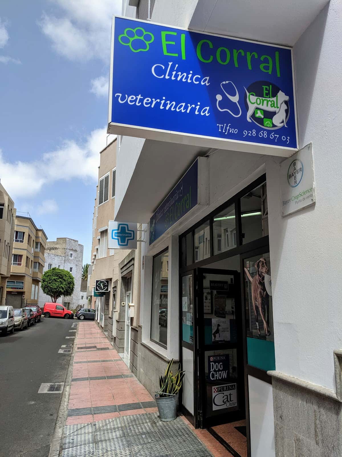 el corral clinica veterinaria veterinario clinica en telde en las palmas principalImage ADOPTA Sitios Pet Friendly