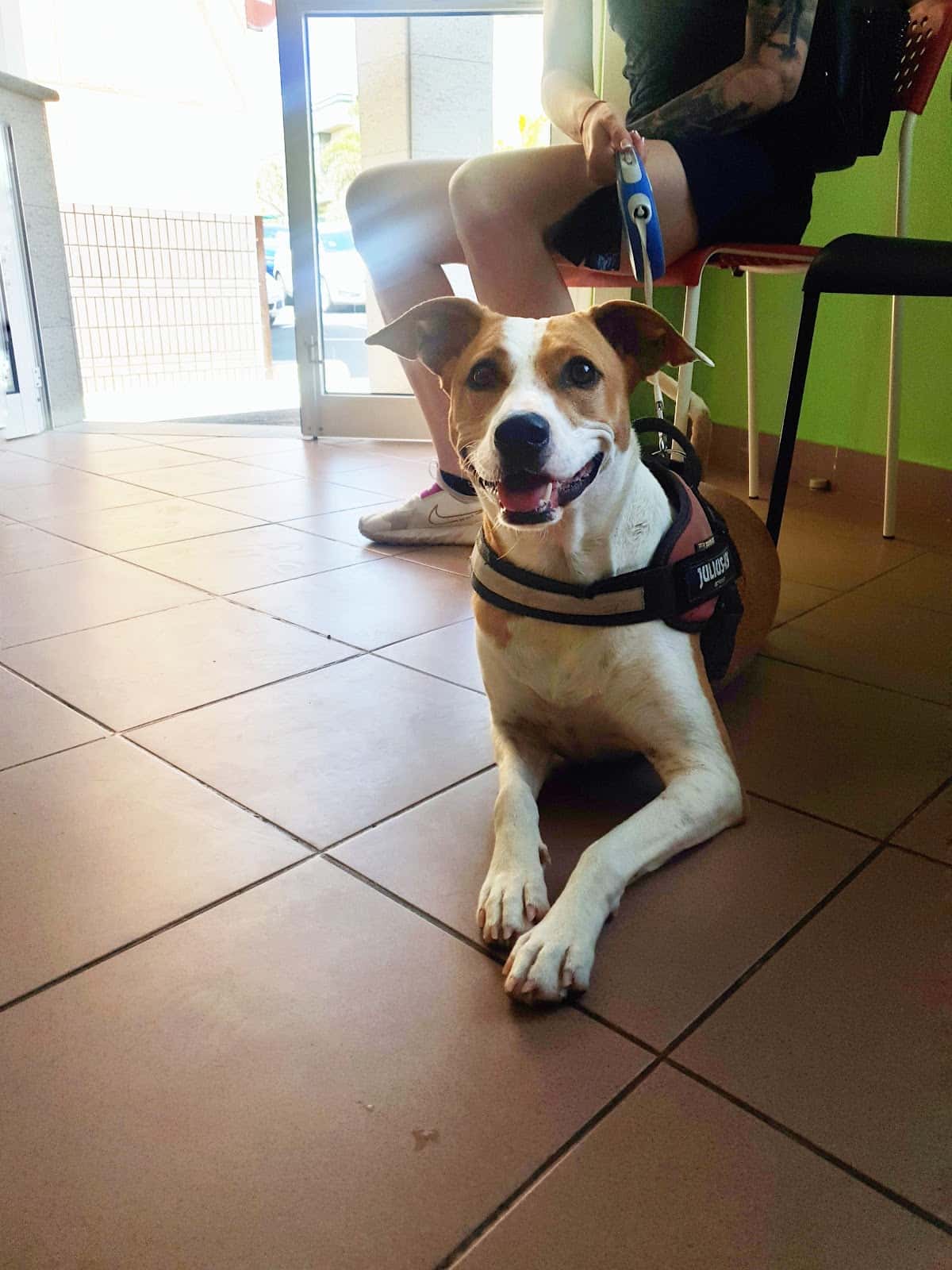 Clínica Veterinaria La Plaza