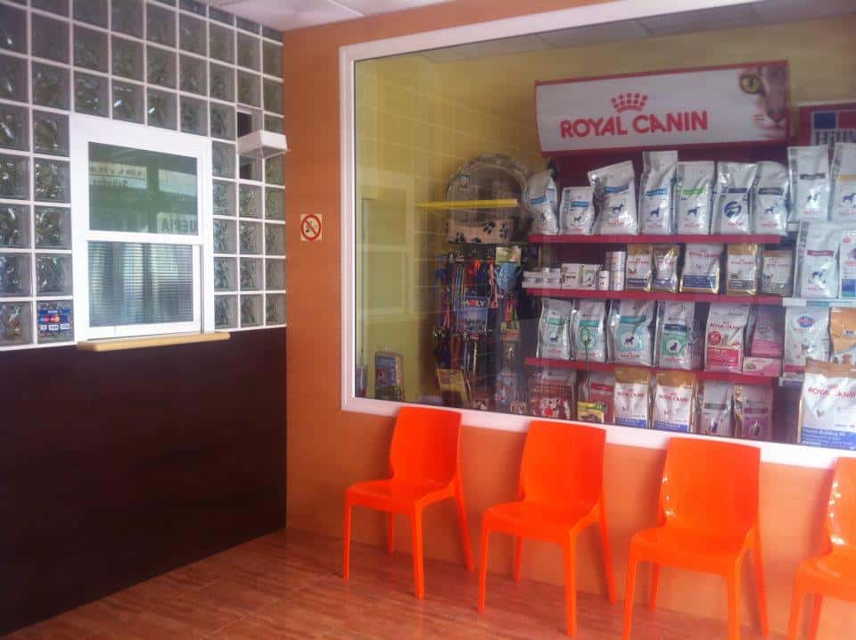 telemascota veterinario centro en vecindario en las palmas principalImage ADOPTA Sitios Pet Friendly