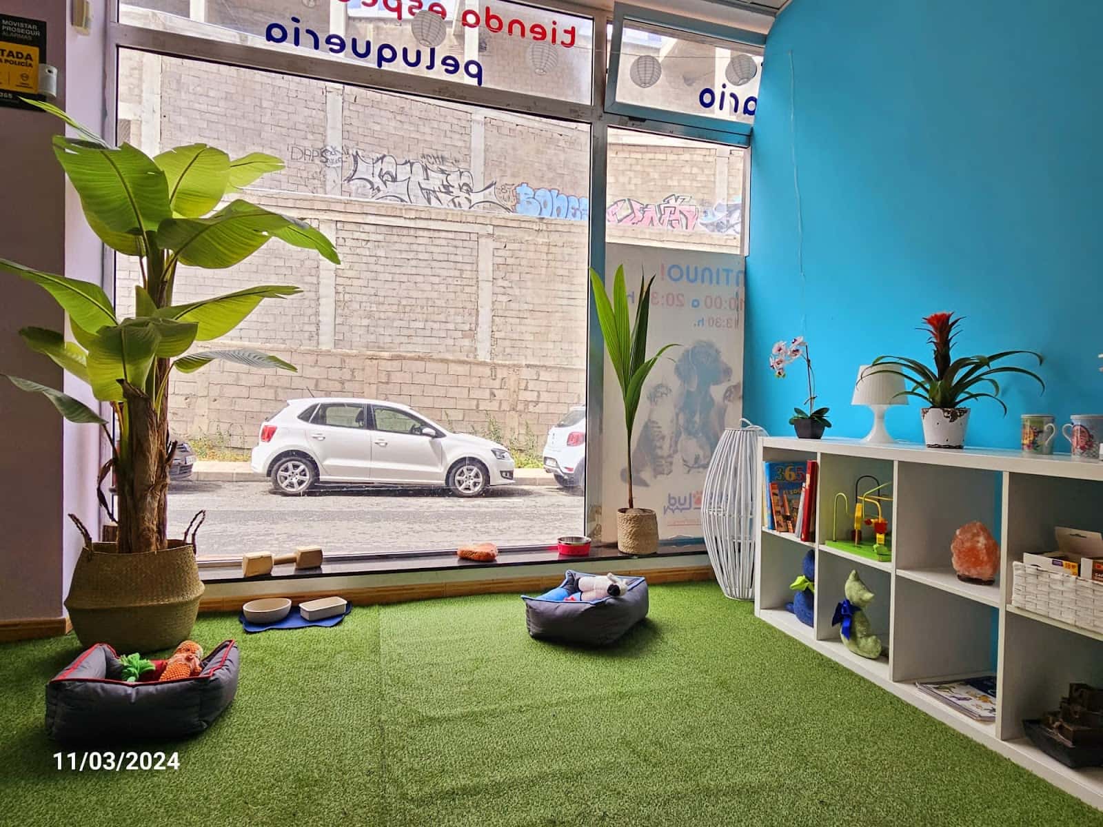 vetsalud telde veterinario centro en telde en las palmas principalImage ADOPTA Sitios Pet Friendly