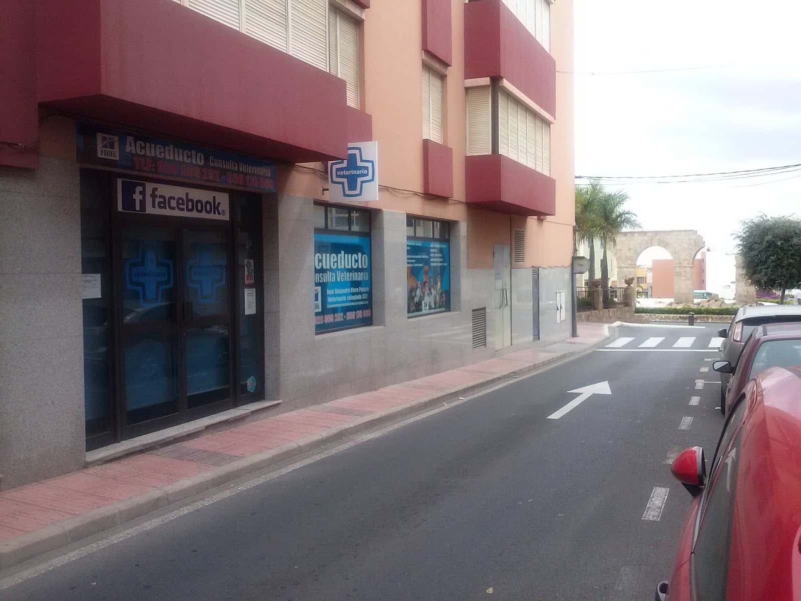 consulta veterinaria acueducto veterinario centro en telde en las palmas principalImage ADOPTA Sitios Pet Friendly