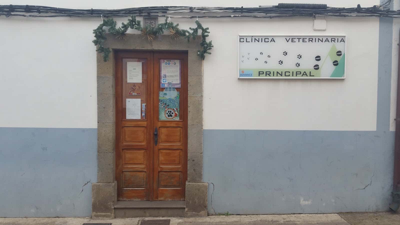 Clinica Veterinaria Principal