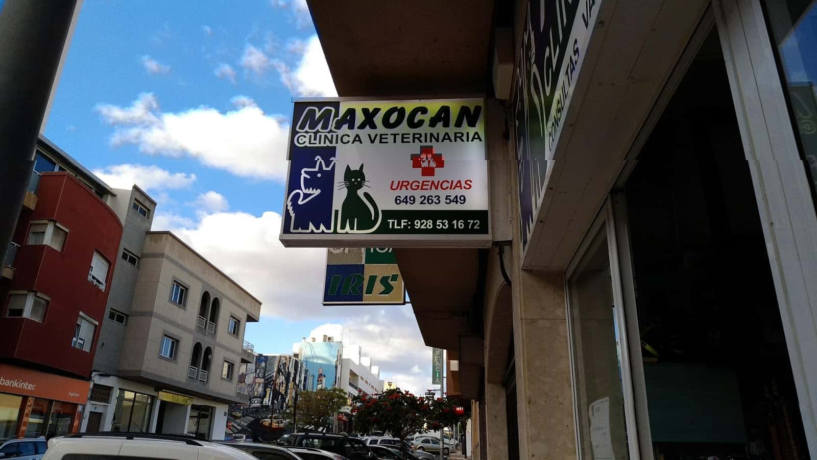 Clinica Veterinaria Maxocan