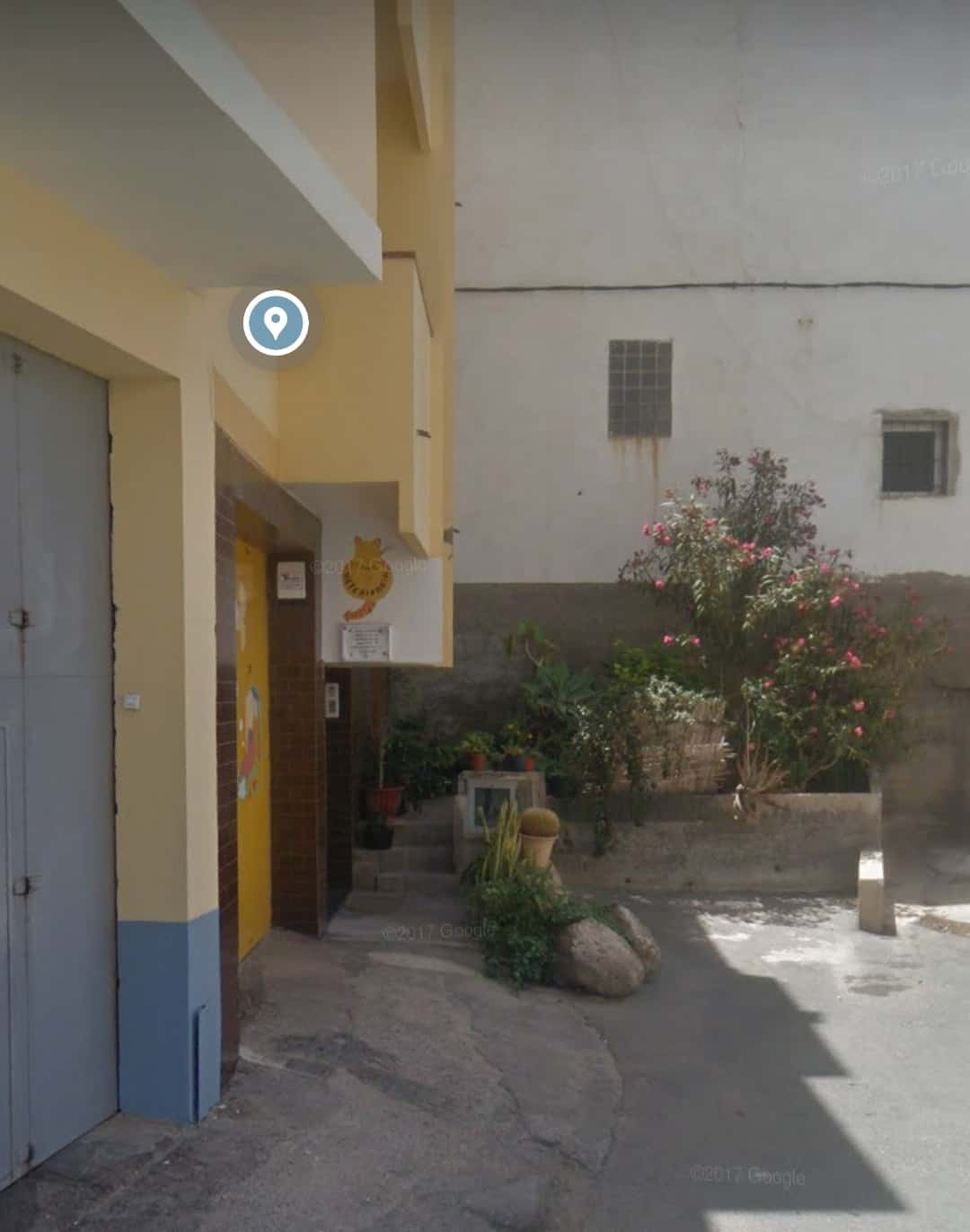 clinica veterinaria san isidro veterinario clinica en san isidro en las palmas principalImage ADOPTA Sitios Pet Friendly
