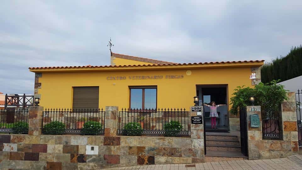centro veterinario firgas veterinario centro en firgas en las palmas principalImage ADOPTA Sitios Pet Friendly