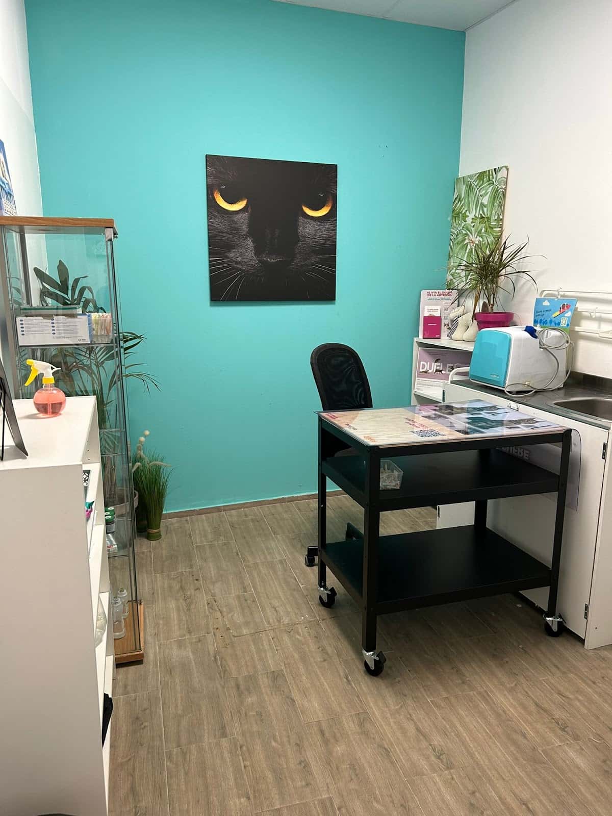 clinica veterinaria argana alta veterinario clinica en arrecife en las palmas principalImage ADOPTA Sitios Pet Friendly