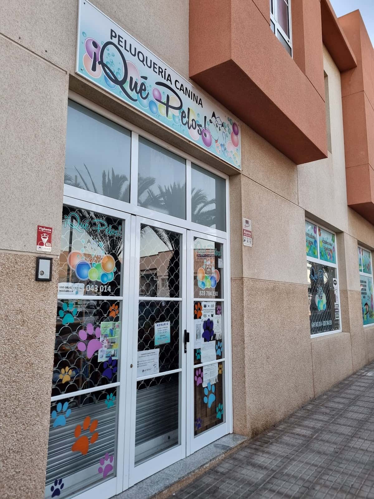 que pelos  veterinario centro en argana alta en las palmas principalImage ADOPTA Sitios Pet Friendly