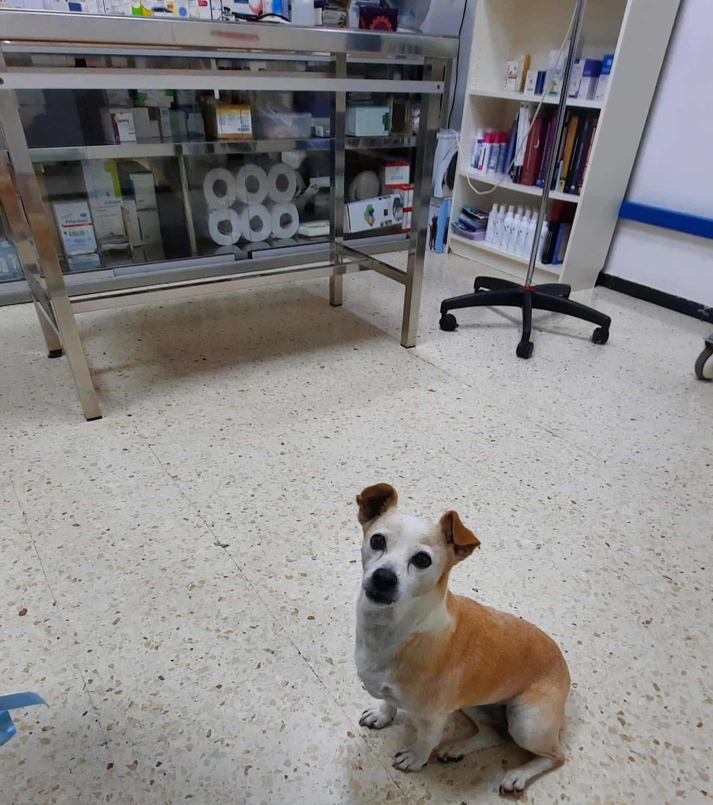 Consulta Veterinaria La Heredad