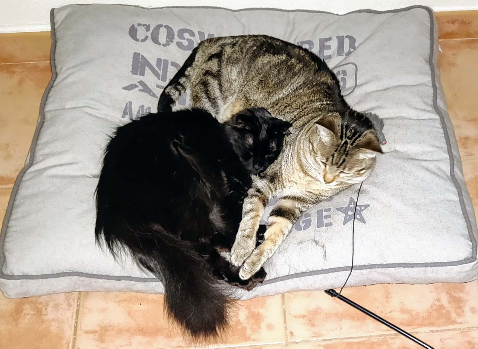 Consulta Veterinaria La Heredad