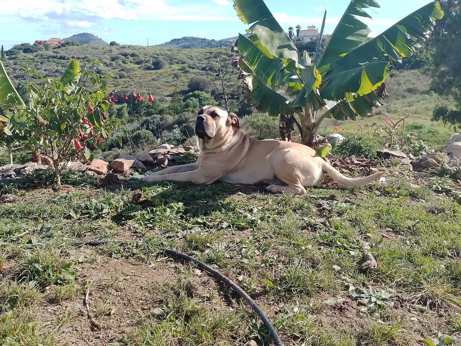 Clínica Veterinaria Santa María De Guía