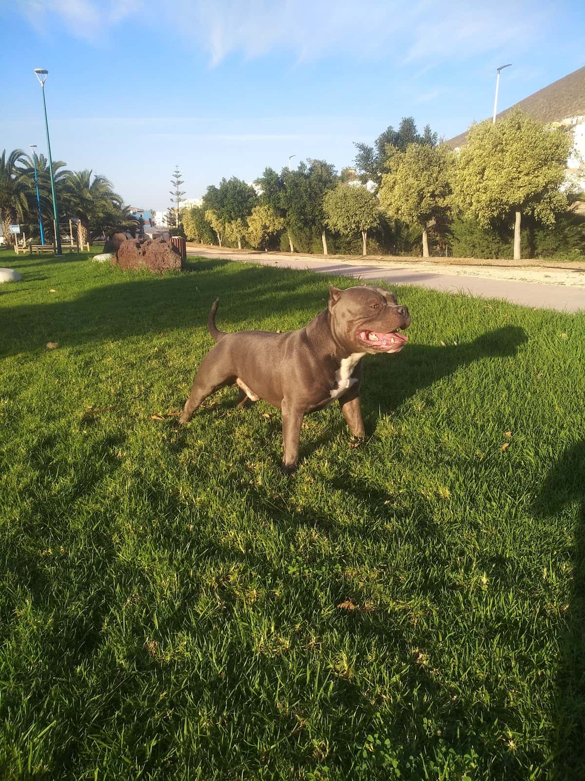 Clínica Veterinaria La Amazonia