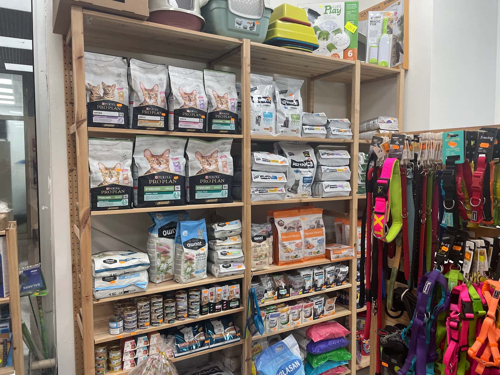 arpiplan veterinario centro en arguineguin en las palmas principalImage ADOPTA Sitios Pet Friendly