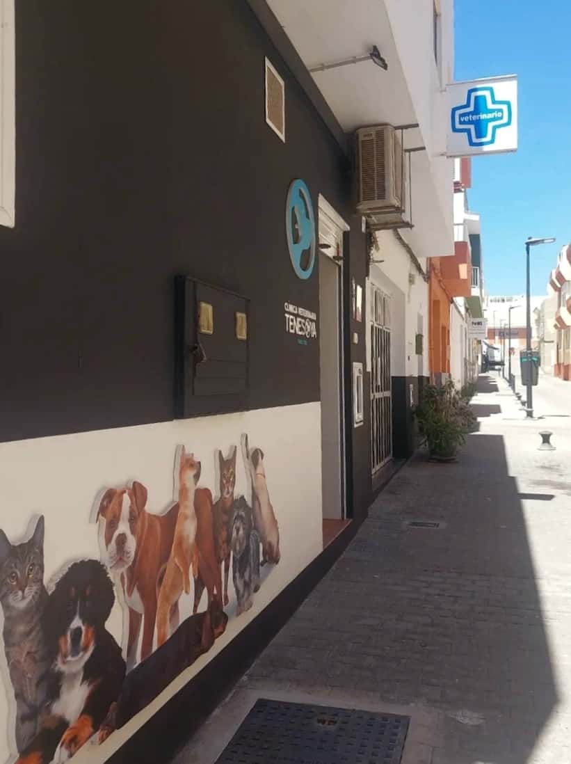 Clínica Veterinaria Tenesoya