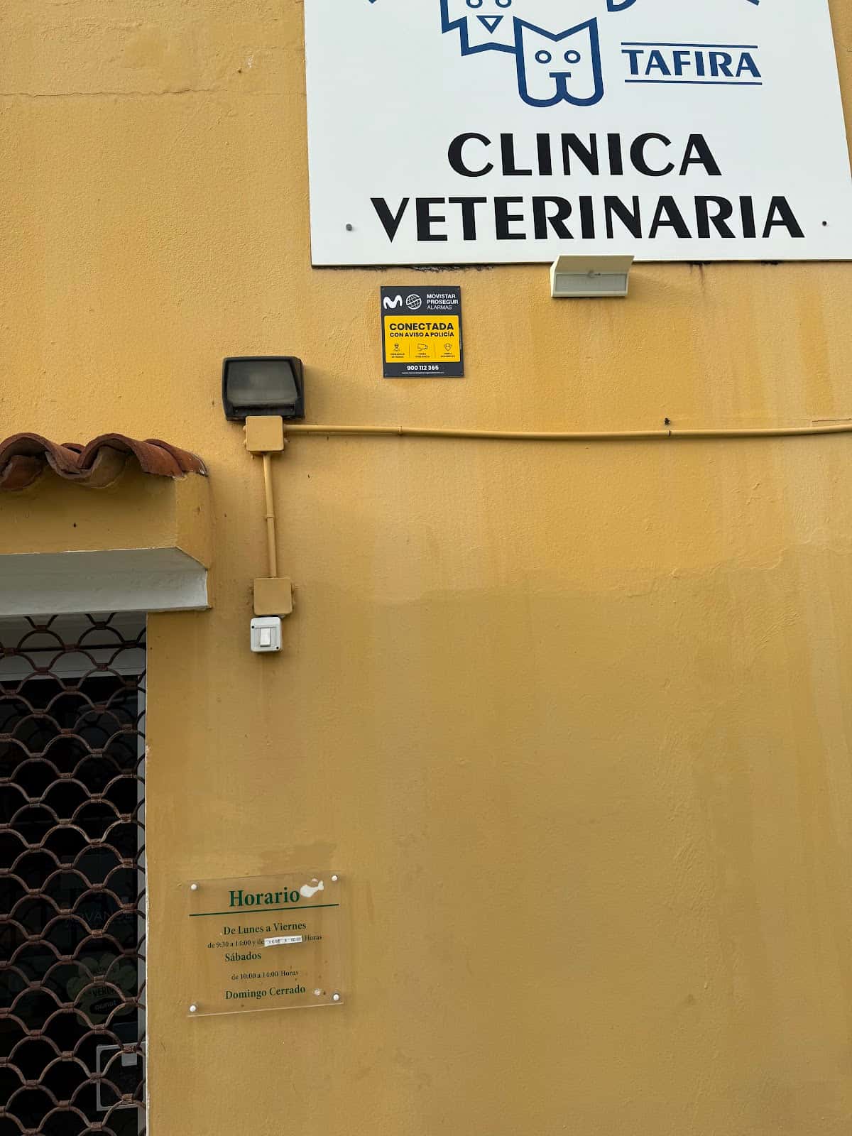 Clinica Veterinaria Felicán Tafira