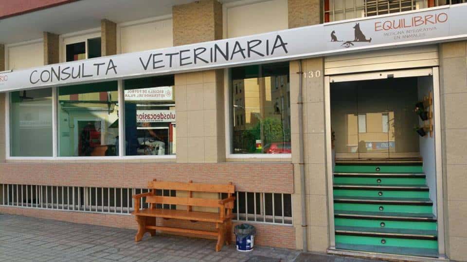 clinica veterinaria equilibrio veterinario clinica en las palmas de gran canaria en las palmas principalImage ADOPTA Sitios Pet Friendly