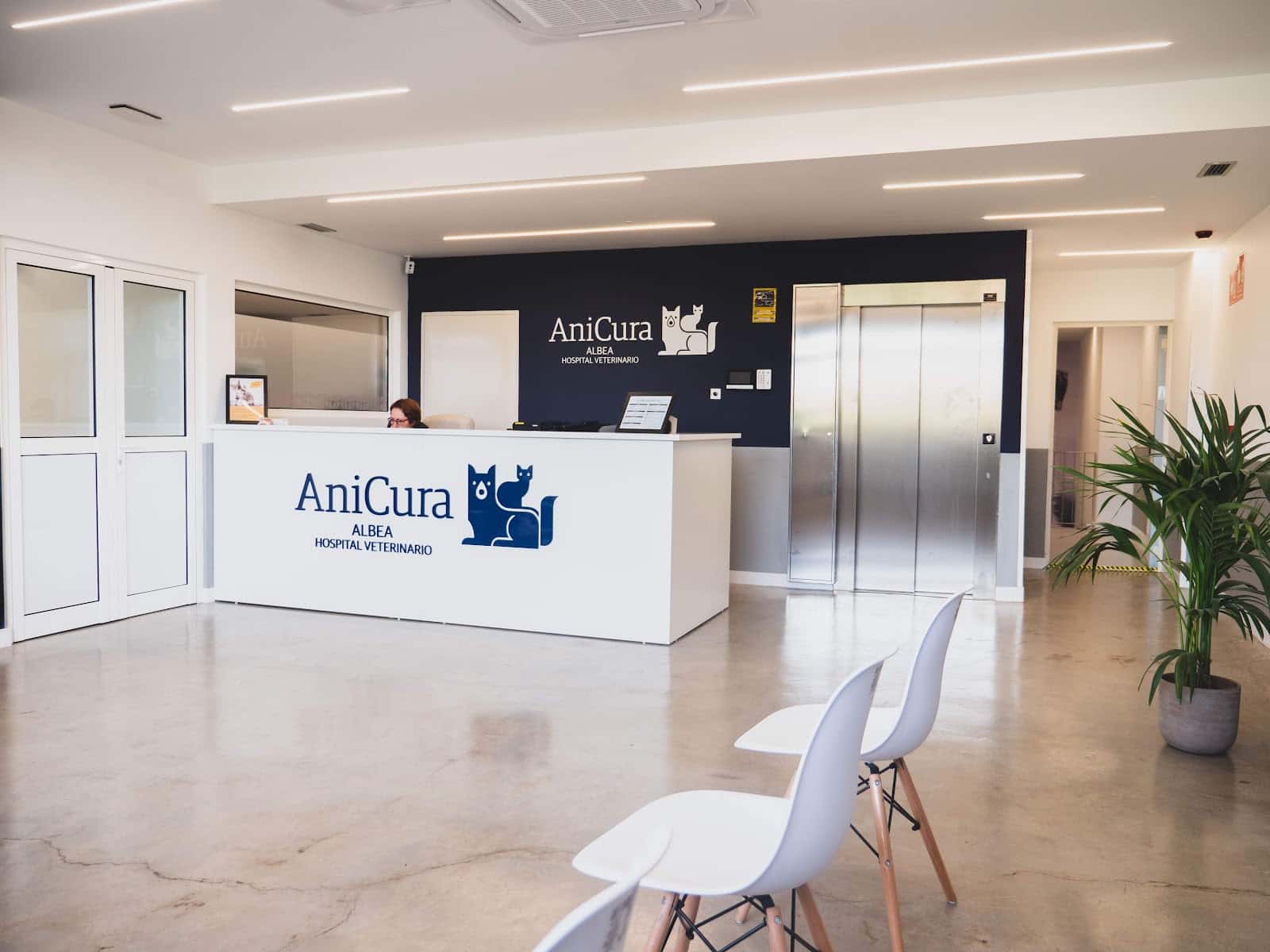 anicura albea hospital veterinario  urgencias 24h veterinario hospital en las palmas de gran canaria en las palmas principalImage ADOPTA Sitios Pet Friendly