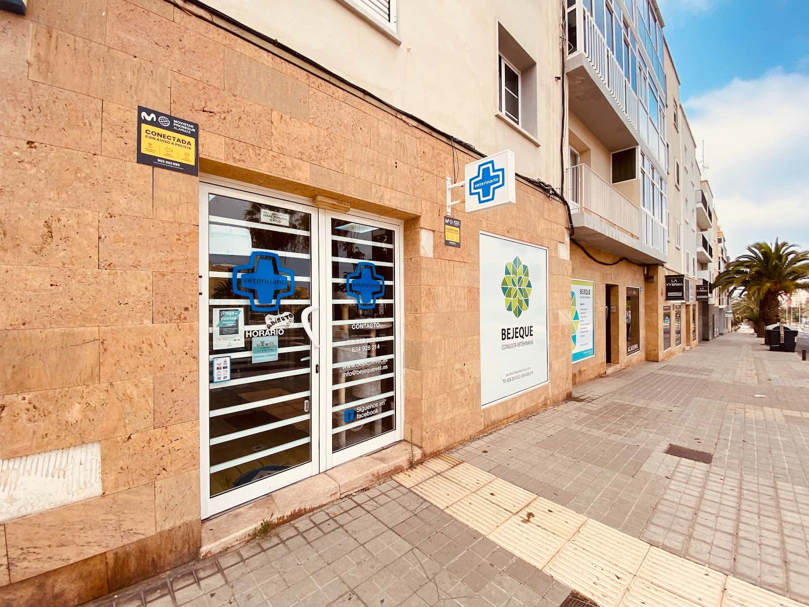 Consulta veterinaria Bejeque