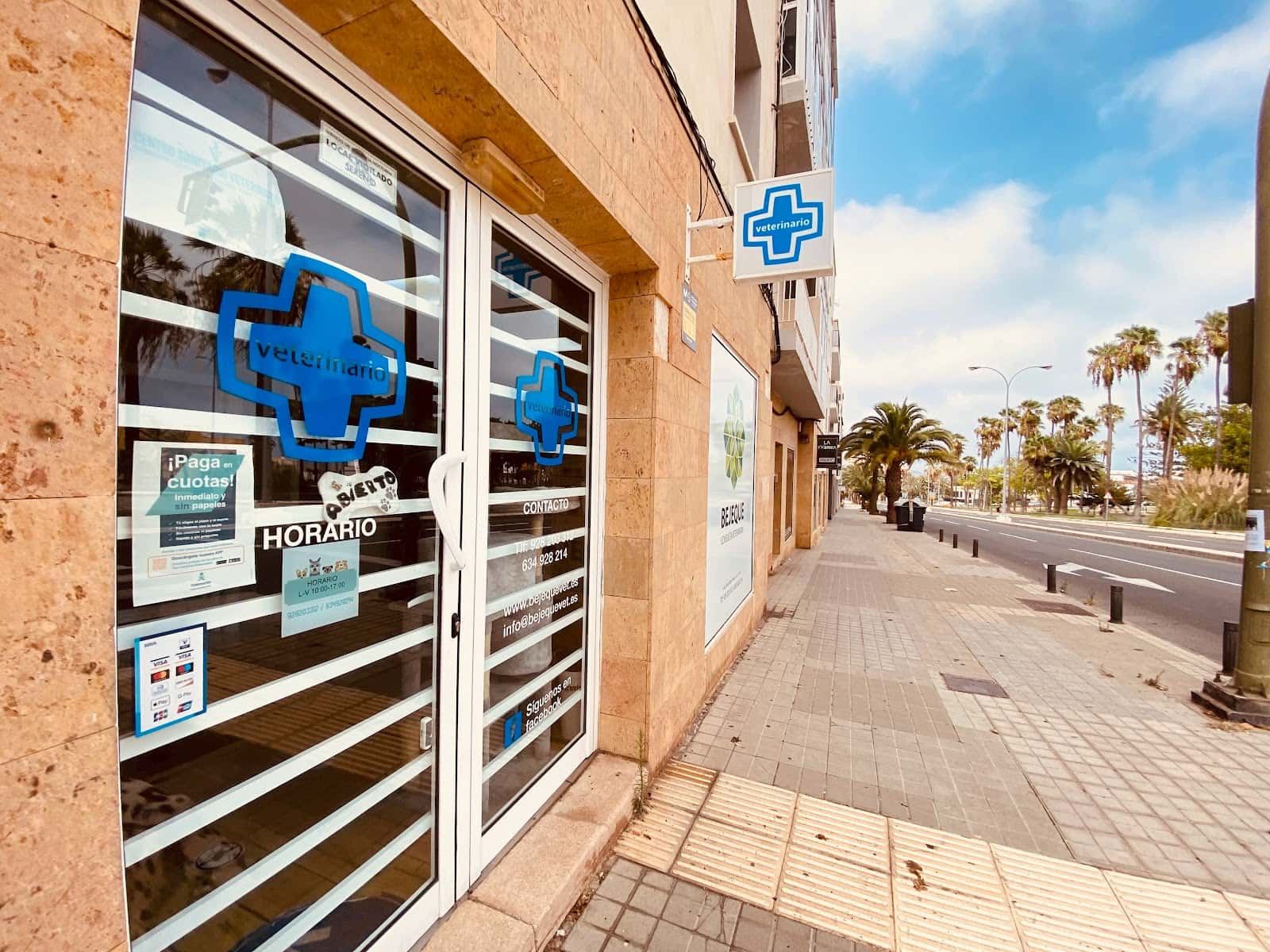 Consulta veterinaria Bejeque