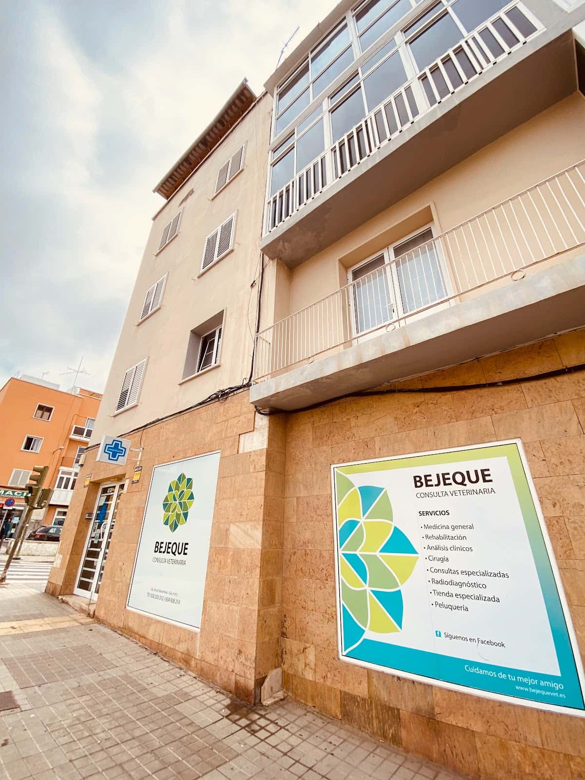 consulta veterinaria bejeque veterinario centro en las palmas de gran canaria en las palmas principalImage ADOPTA Sitios Pet Friendly