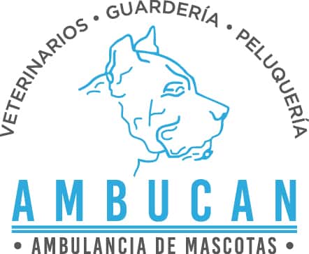 ambucan ambulancia de mascotas veterinario centro en tenoya en las palmas principalImage ADOPTA Sitios Pet Friendly