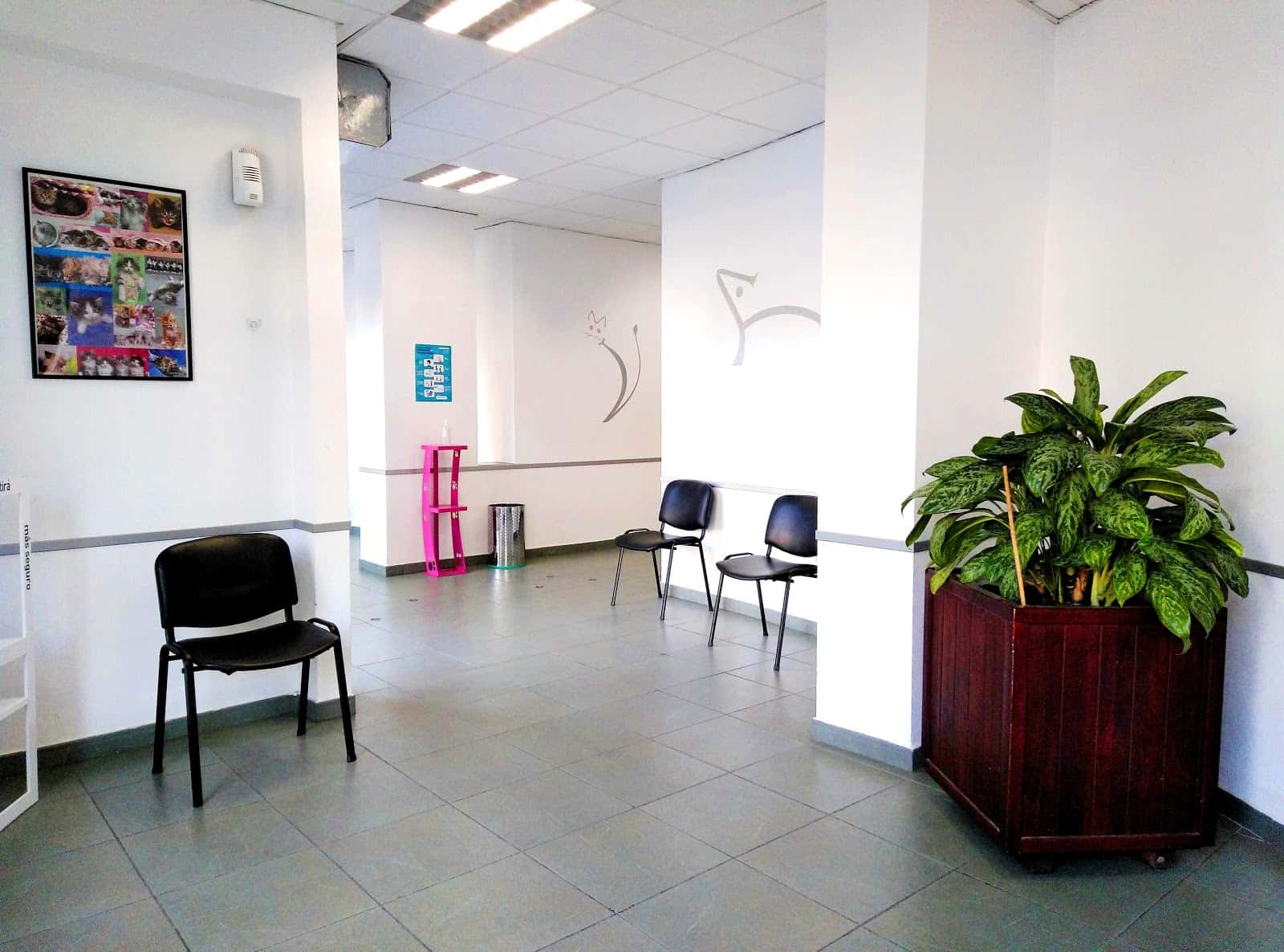 Centro Veterinario Insular