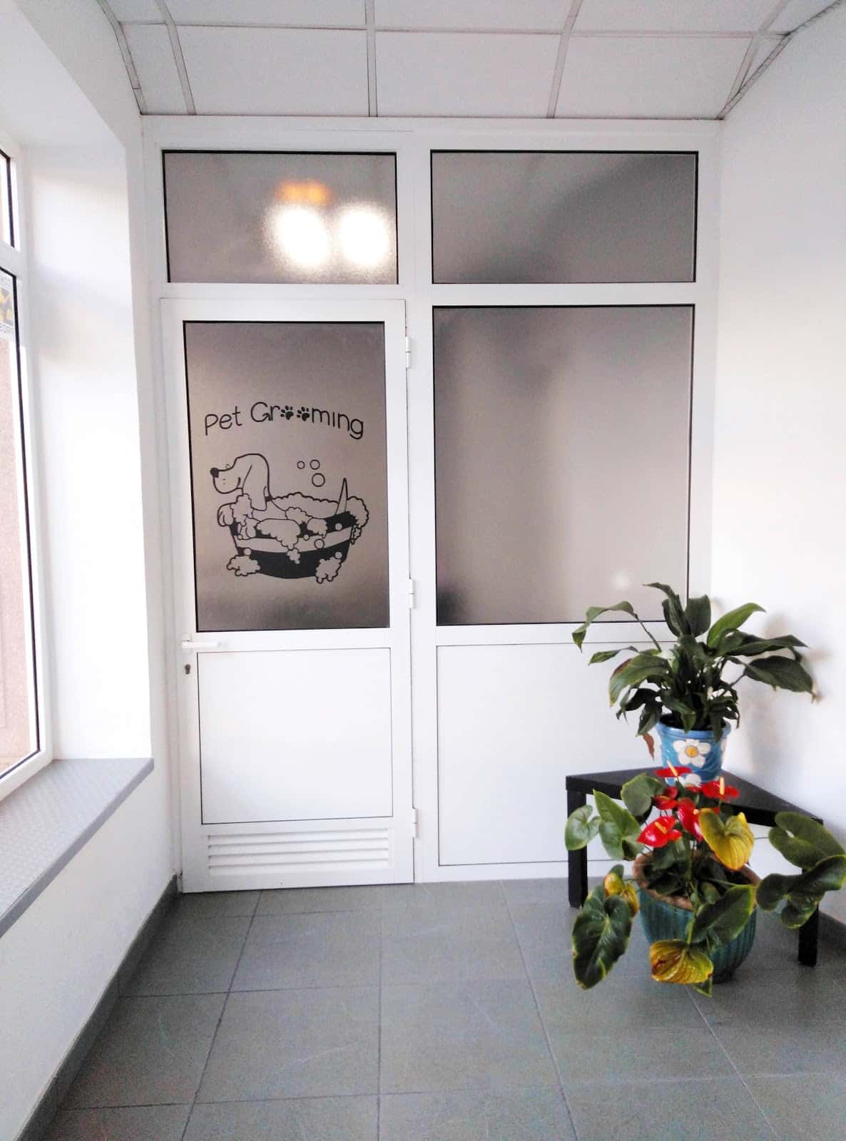 Centro Veterinario Insular