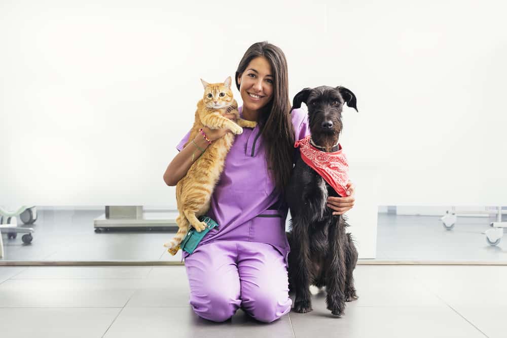 Anade Centro Veterinario