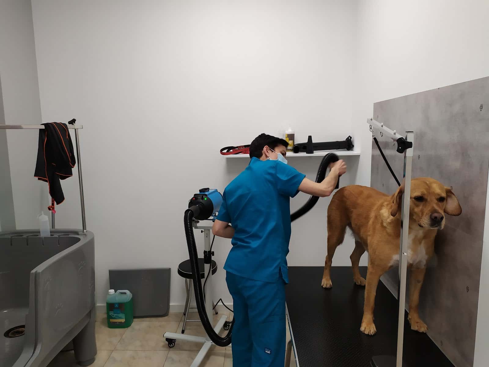 Clínica Veterinaria Meu Vet