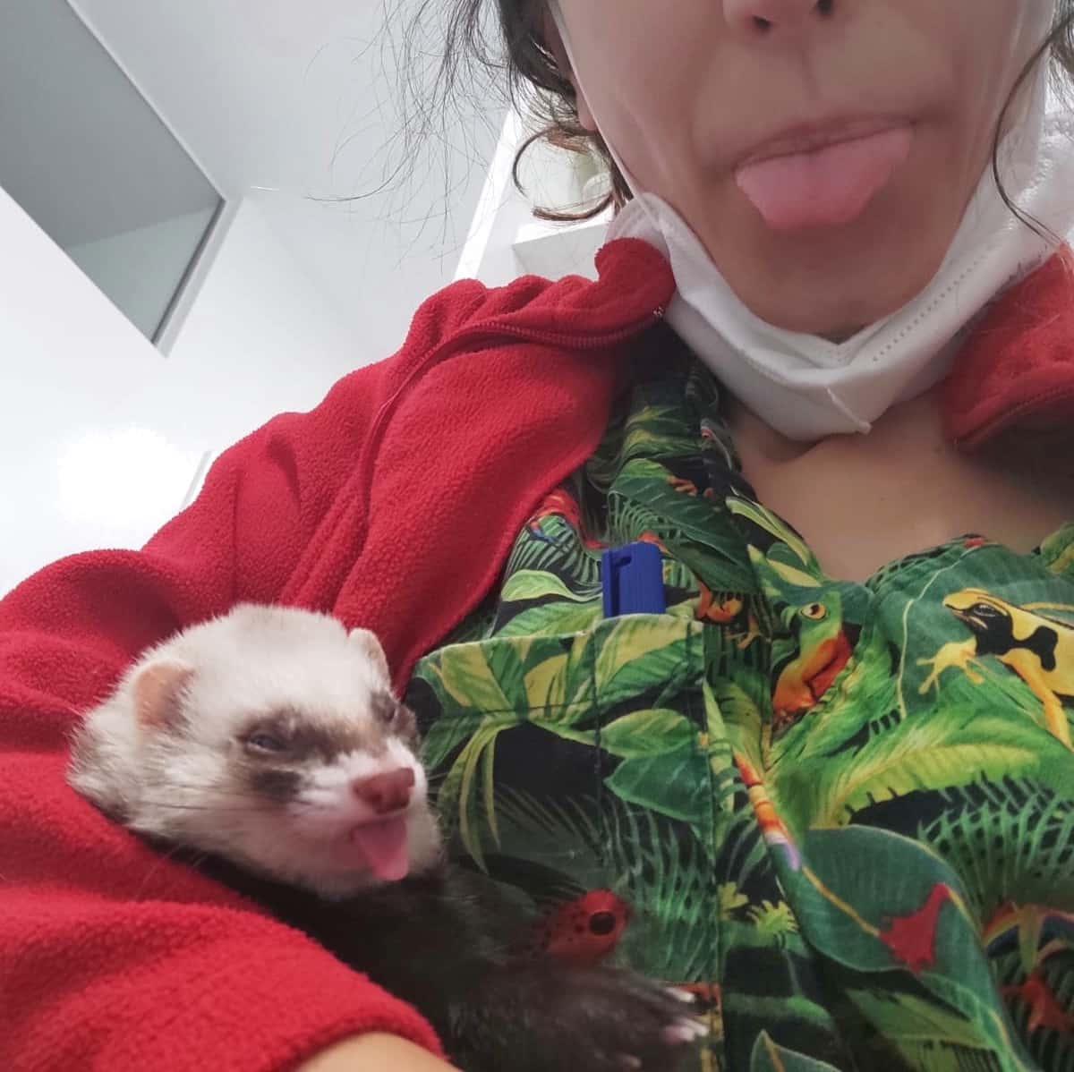 Quetzal Clínica Veterinaria