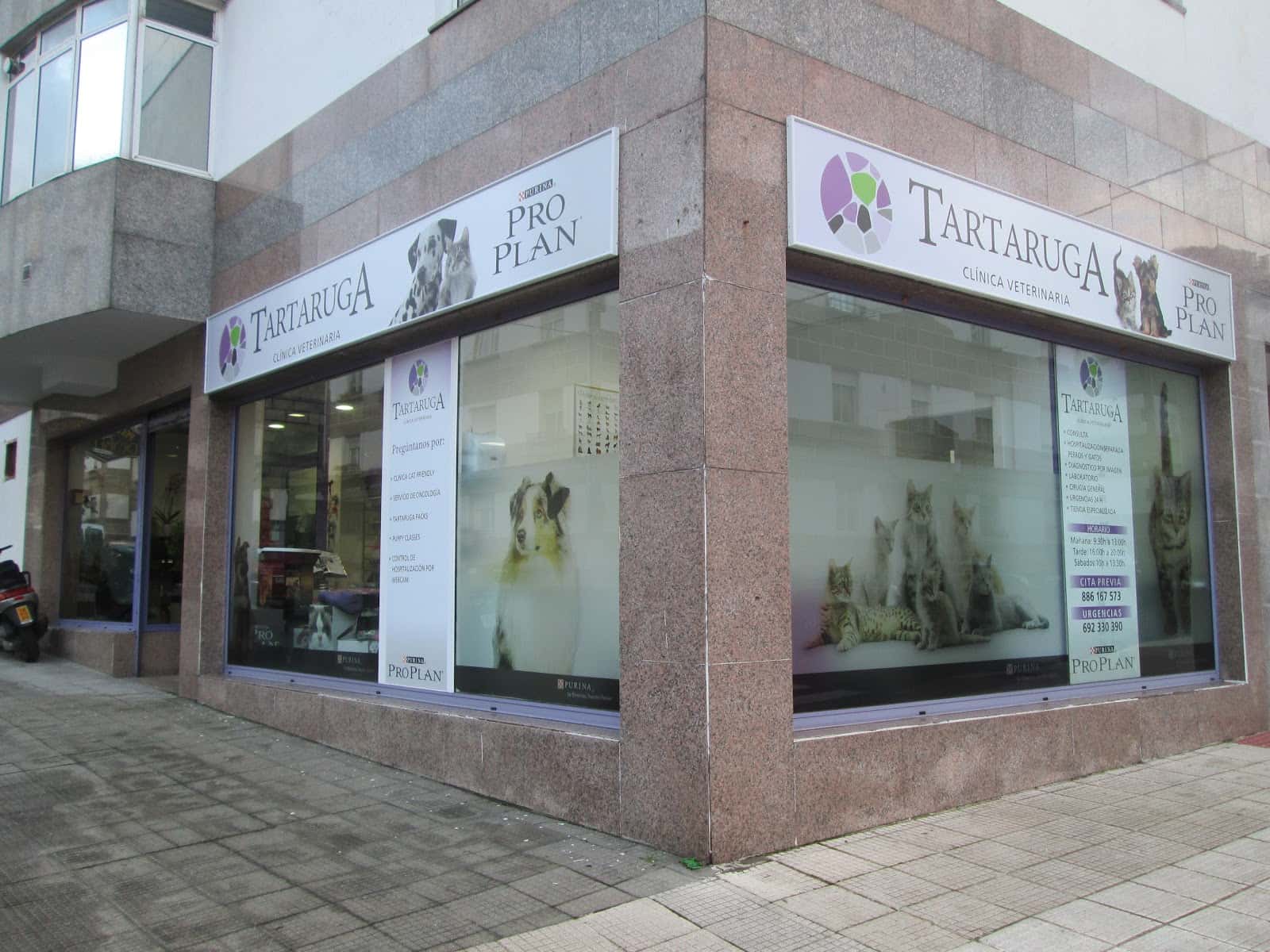 Tartaruga