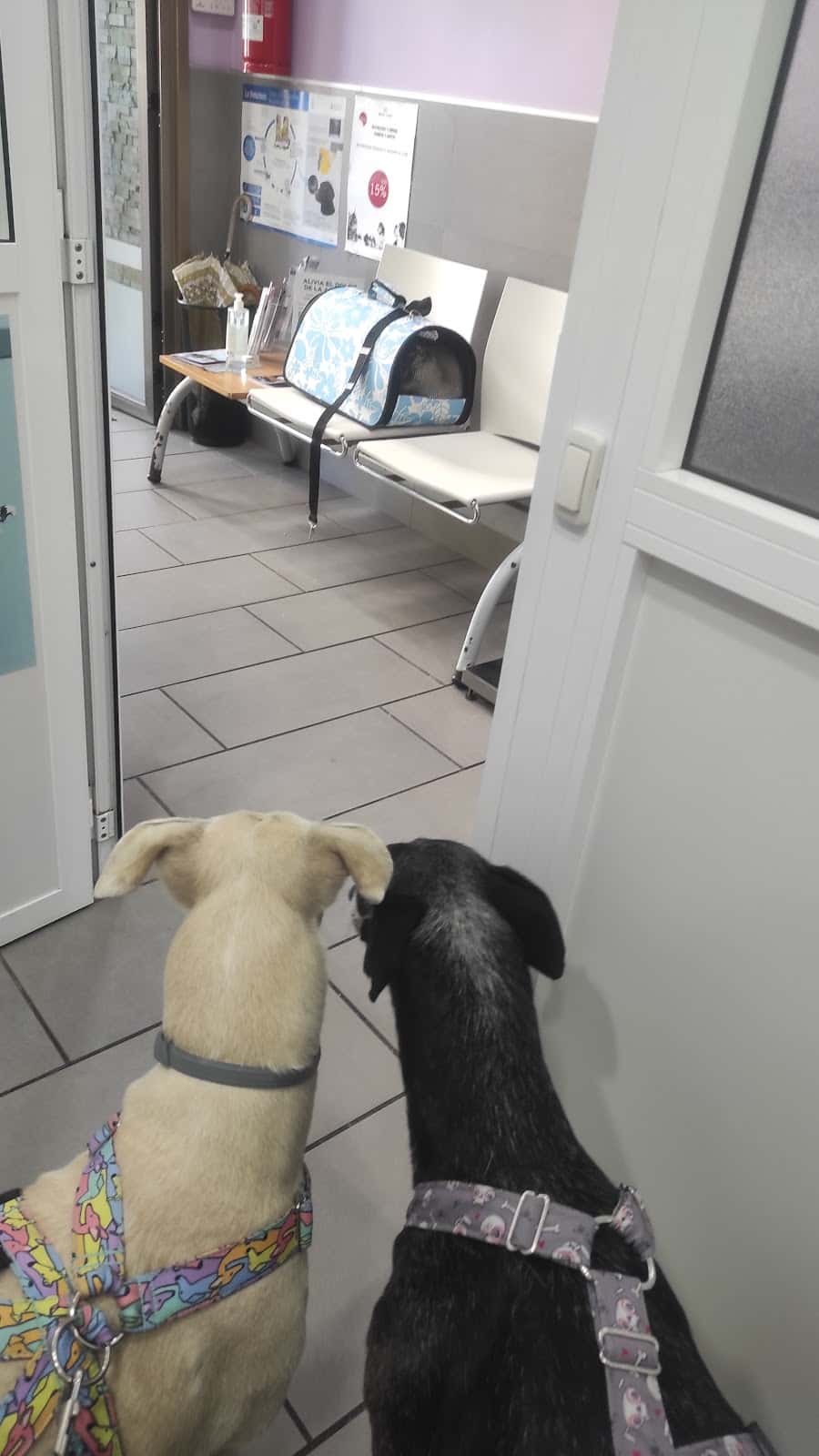 Anicura Navia Hospital Veterinario