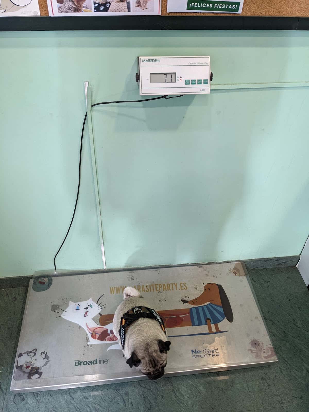 Clínica Veterinaria García Barbón