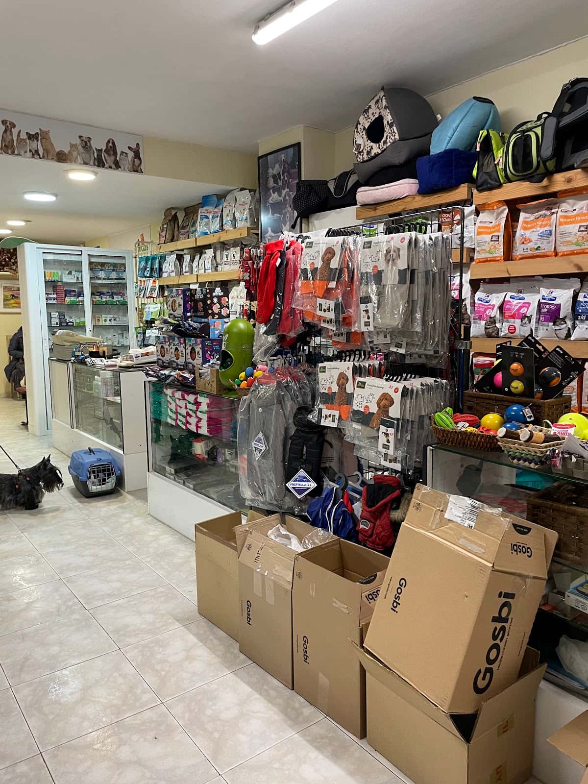 Clinica Veterinaria Amigos