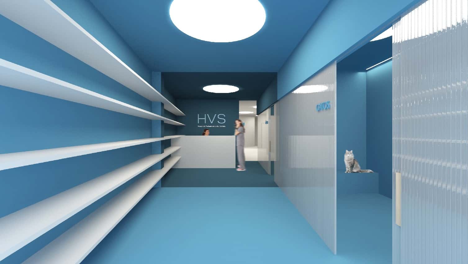 hospital veterinario do salnes barrantes veterinario hospital en ribadumia en pontevedra principalImage ADOPTA Sitios Pet Friendly