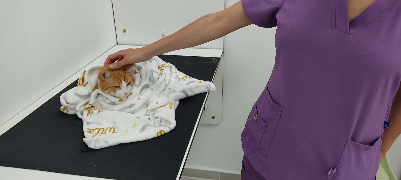 Clínica Veterinaria Vigo Grovalvet
