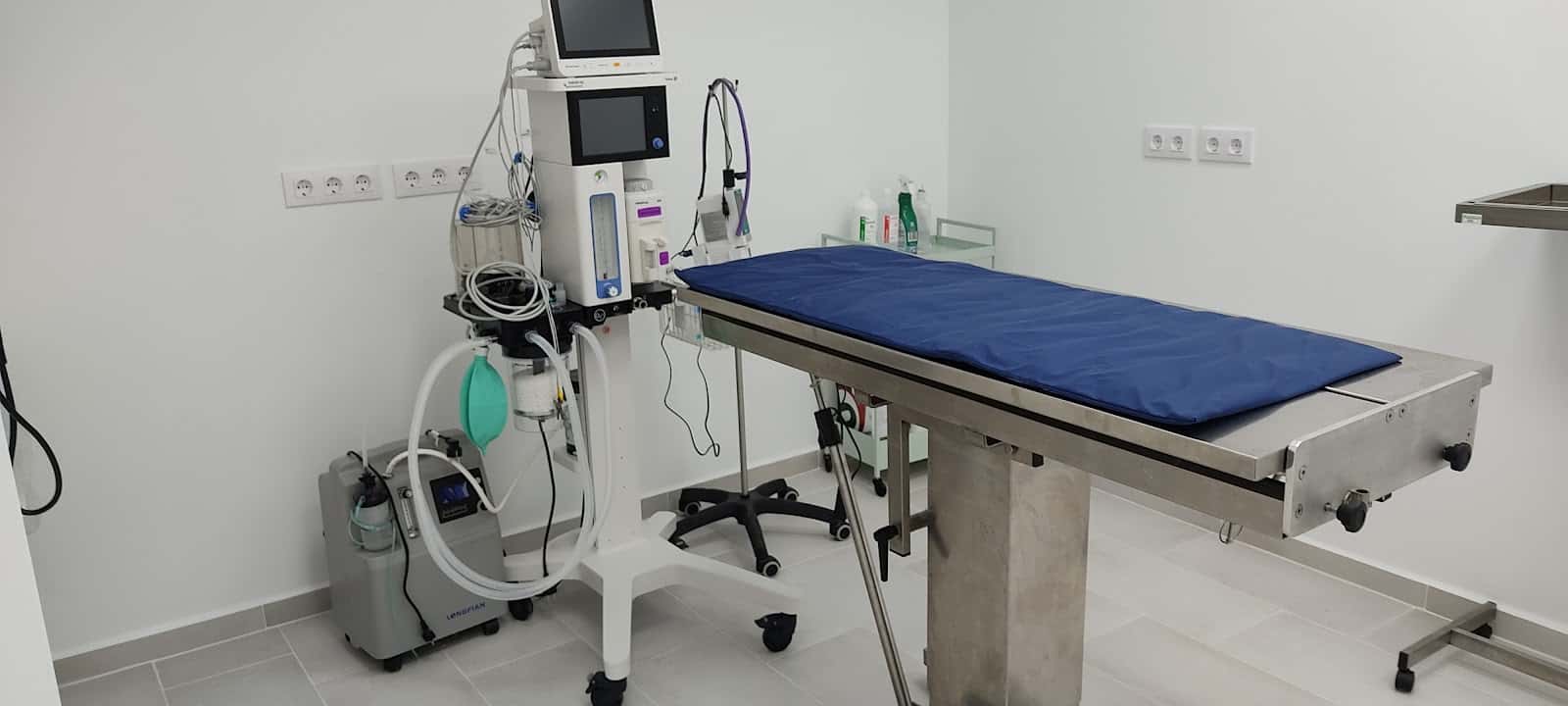 clinica veterinaria vigo grovalvet veterinario clinica en vigo en pontevedra principalImage ADOPTA Sitios Pet Friendly