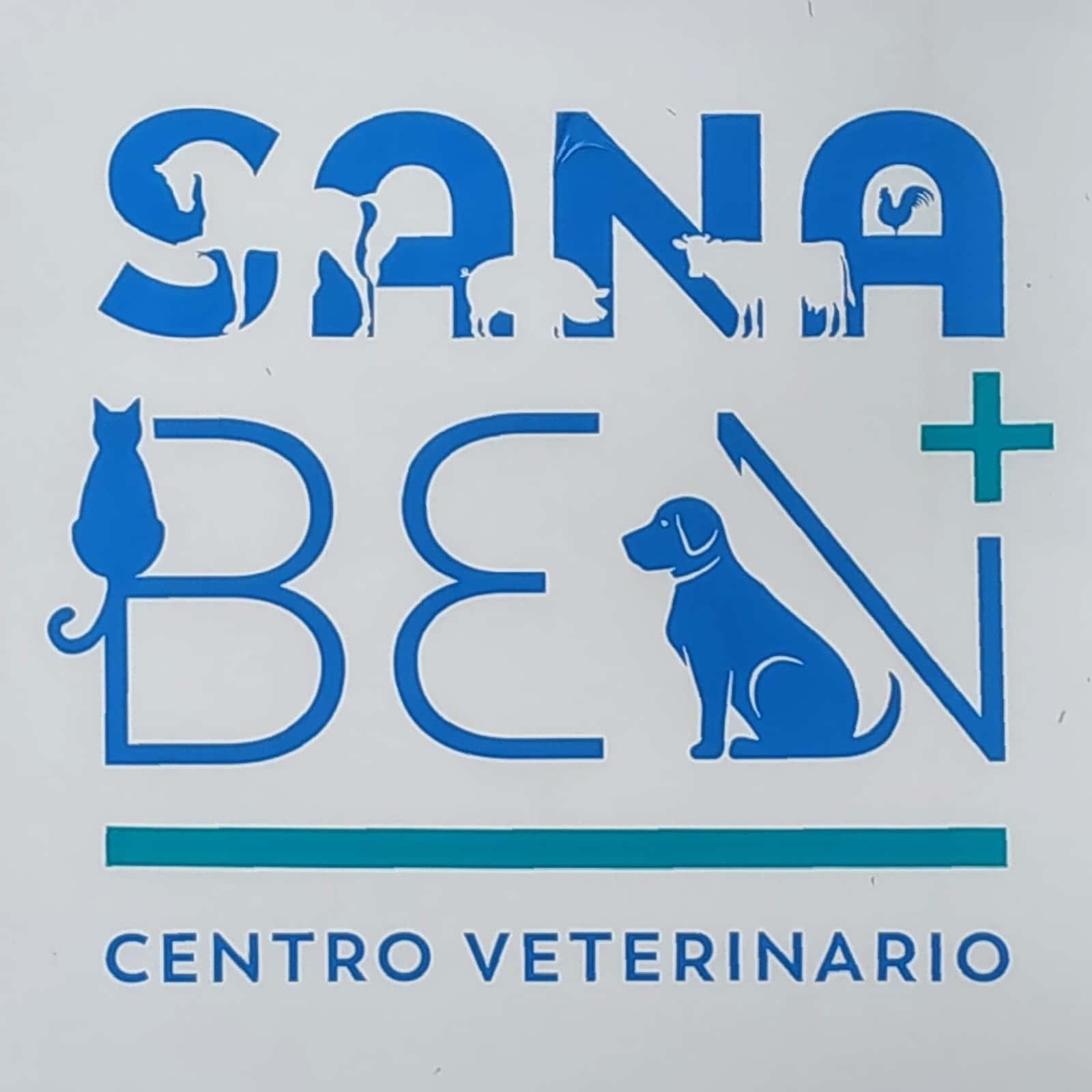 Clínica veterinaria moraña