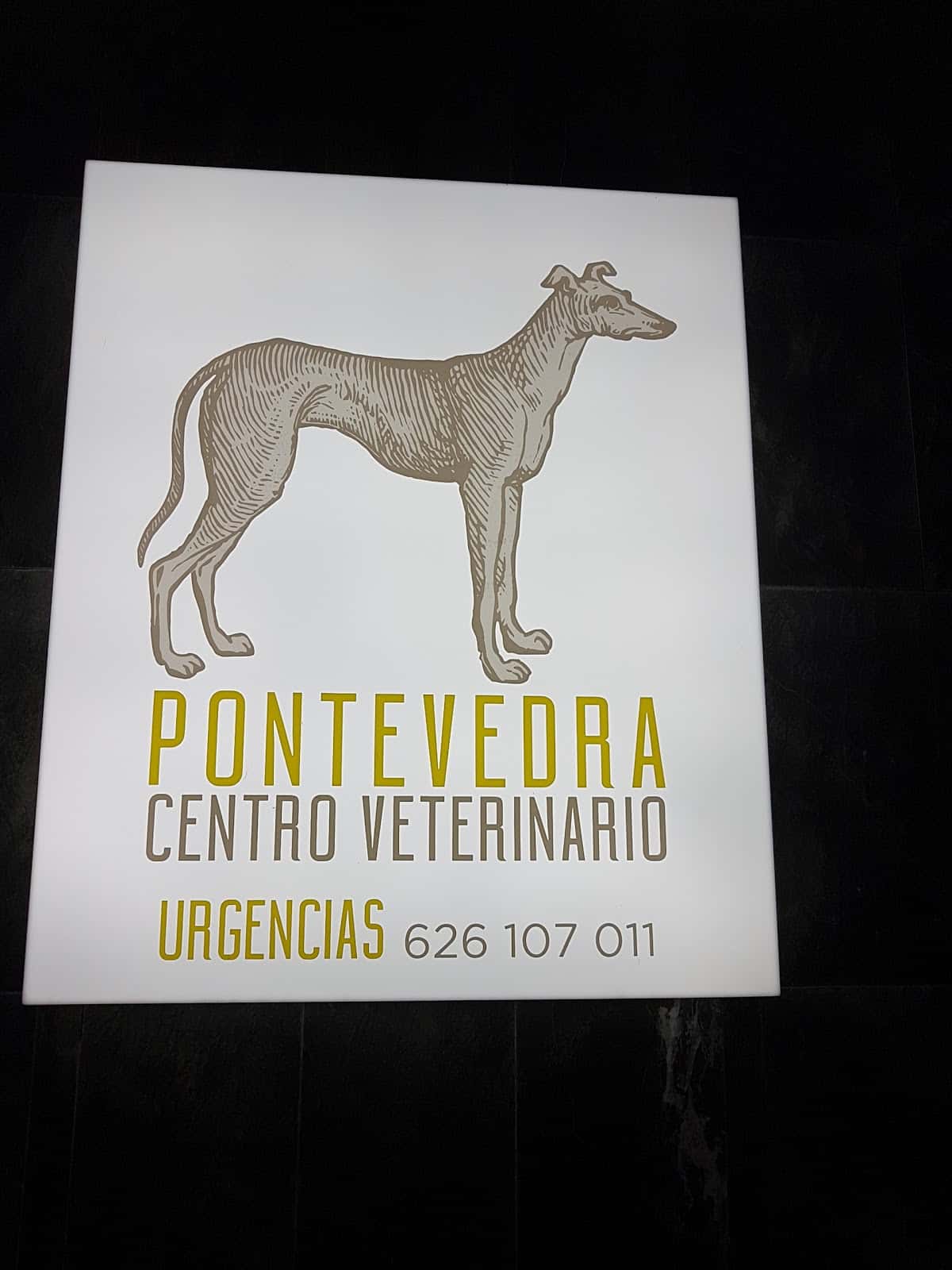 Centro Veterinario Pontevedra