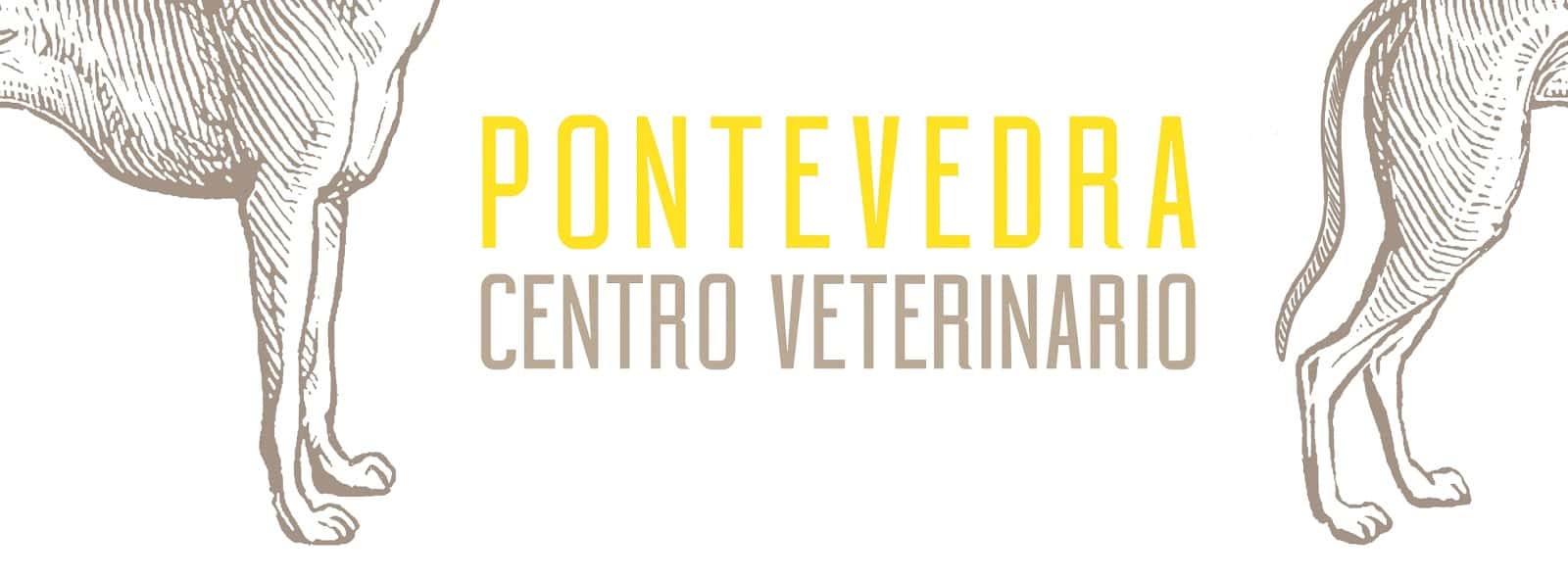 Centro Veterinario Pontevedra