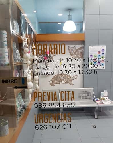 centro veterinario pontevedra veterinario centro barrio pontevedra en pontevedra en pontevedra principalImage ADOPTA Sitios Pet Friendly