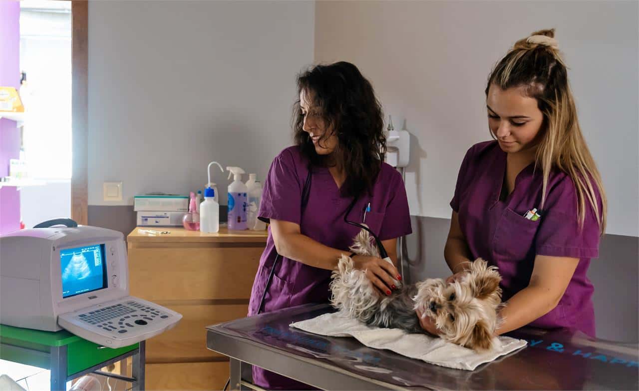 Centro Veterinario Imevet