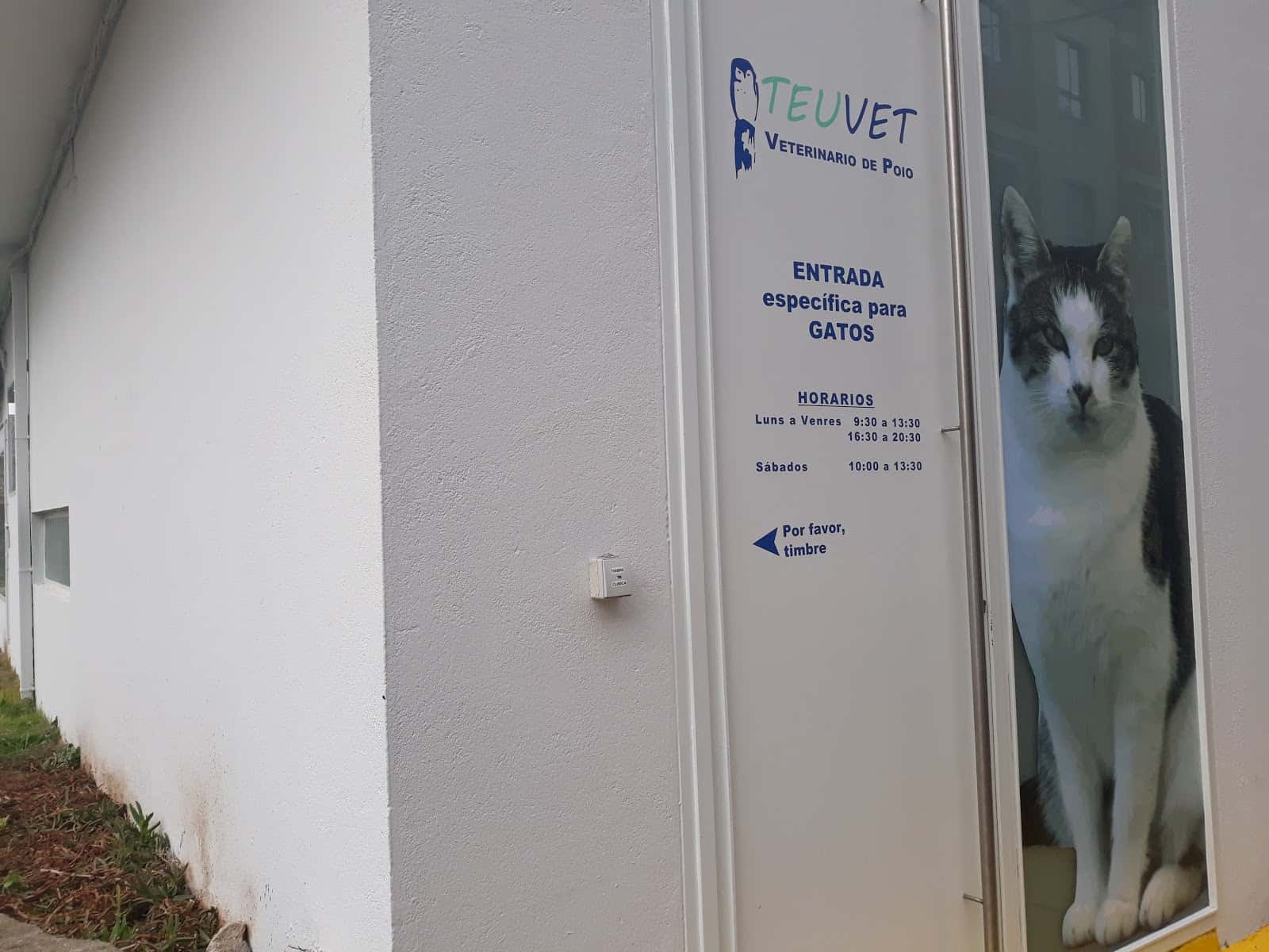Veterinario De Poio