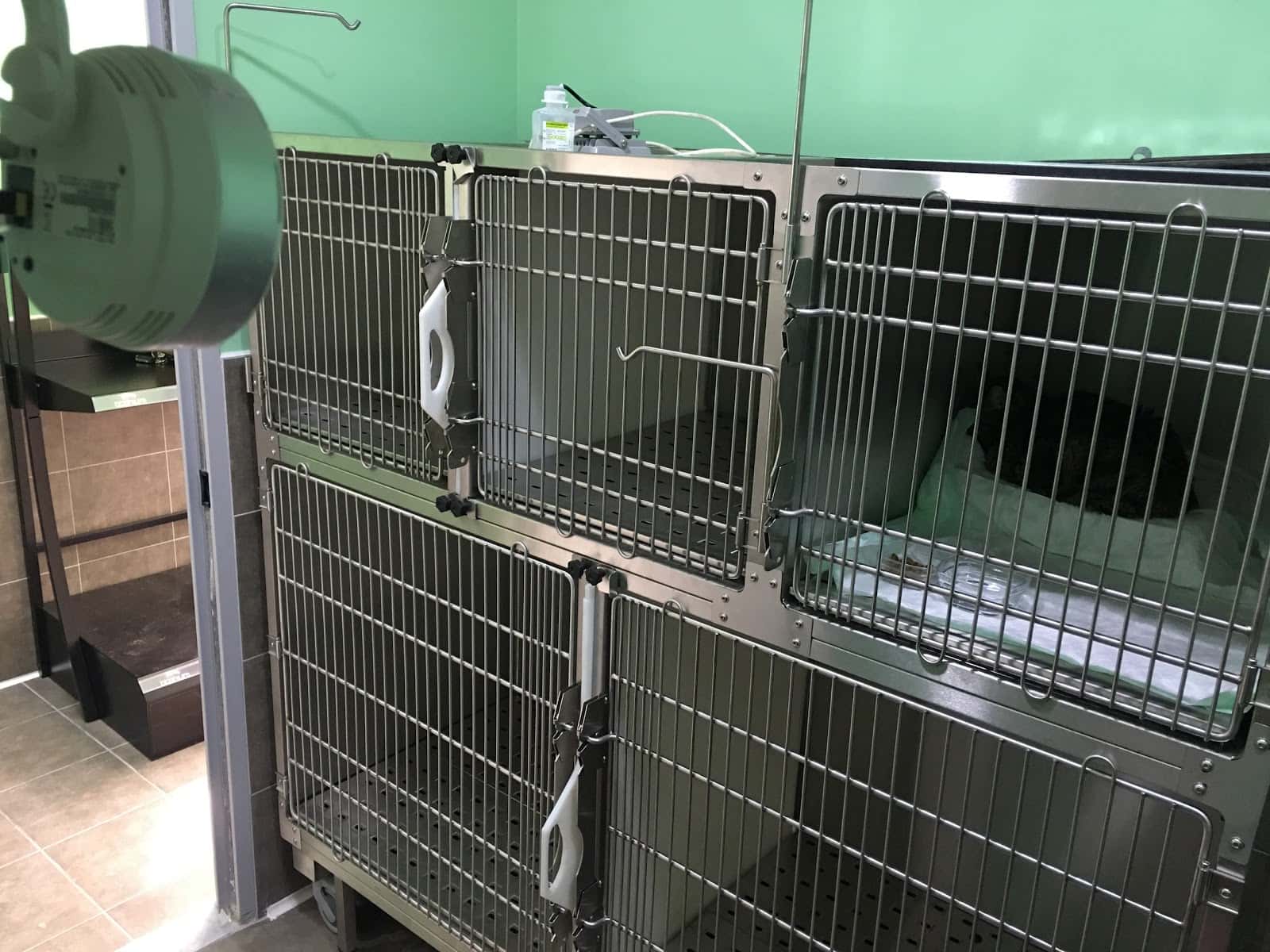 Clínica Veterinaria MCVet