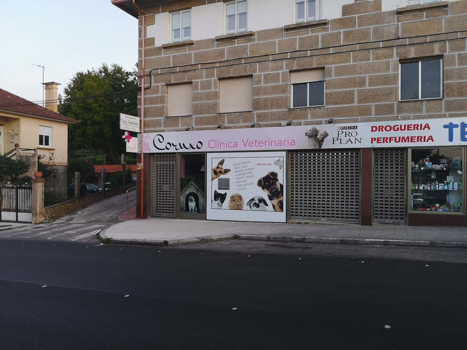 clinica veterinaria coruxo veterinario clinica en vigo en pontevedra principalImage ADOPTA Sitios Pet Friendly