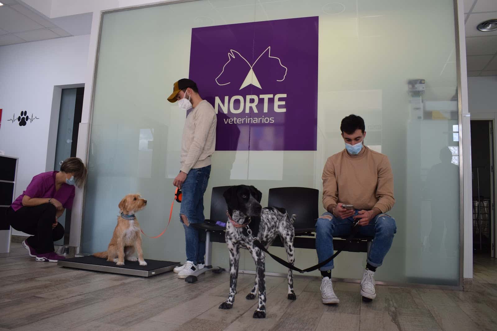 Norte Veterinarios