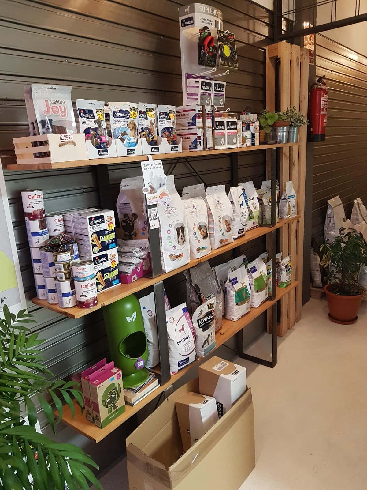 Club Veterinario Salamanca